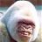 guruge