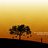 harsha92