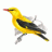 golden bird