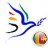 sunnetmedia
