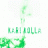 kari kolla