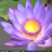 diyasena