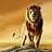 asara_jayathila