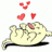 shan_k