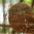 sampath_lanka