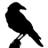 The Crow 2011