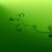 Green Life