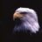 eagle rox