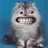 kat4ever