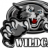 wildcat6