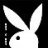 playboy
