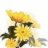 _madhu