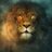 Azlan Lion