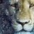 |~|The_Lion|~|