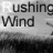 RushingWind