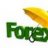 Forex Helper