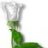 Sweet_Heart