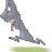kusal1234