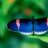 Ellemz00