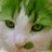 GreenFuZZy