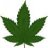 Weed_smoke