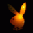 damithp5