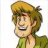Mr Shaggy