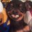 Sameera94