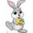 bunny16