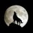 sleepzzz