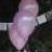 Thilina_Awantha