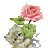 naleema