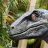 Raptor_Blue