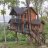 thushara80