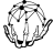 Skeletonn