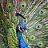 nilu_89