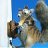 dude_23