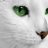 harithacats