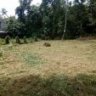Land For Sale in Kalagedihena