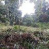 Land For Sale In Kurunegala - සුපිරි නේවාසික බිම් කොටස