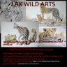 Hand Paintings