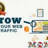 ලෝකෙ වටෙන්ම Organic සහ Real Human Website Traffic ලබාගන්න