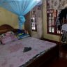 Tea planted 1/2 acre and 6 Perch land with house for sale in Balangoda