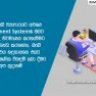 WEB SYSTEM / SOFTWARE DEVELOPMENT
