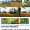 Land for agriculture