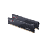 G.SKILL FLARE X5 32GB (16GB×2) DDR5 5600Mhz Ram