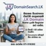 Quick .LK Domain Registration Service